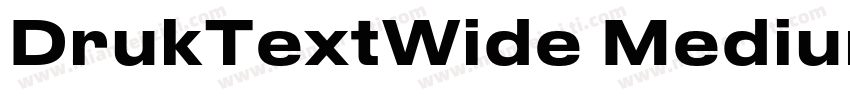 DrukTextWide Medium字体转换